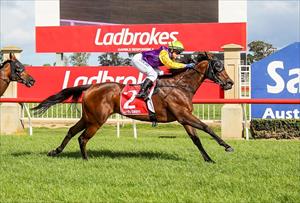 Amastryker in full flight at Sale, March 2019